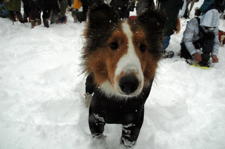 o0452030011910157324