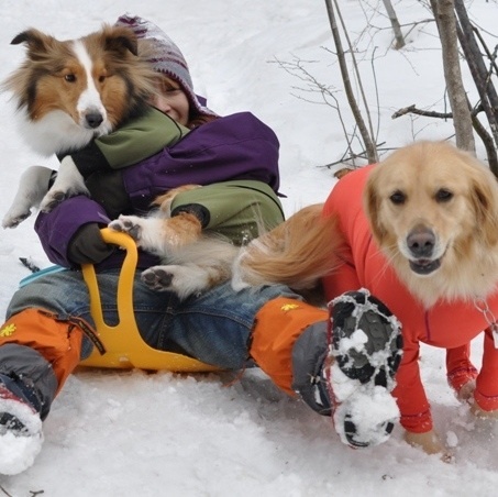 o0453045212462045730