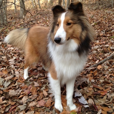 o0480048012307605875