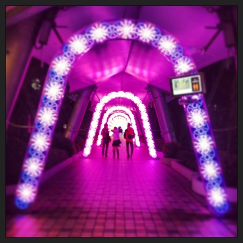 o0480048012396788357