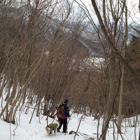 o0480048012462045767