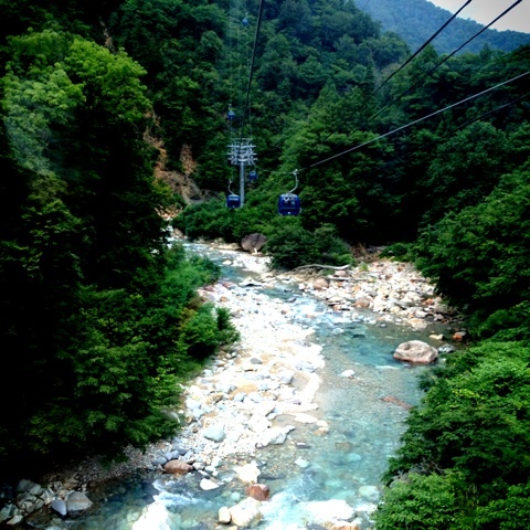 {D6EE0662-A779-430E-9476-27AA844B9F2A:01}