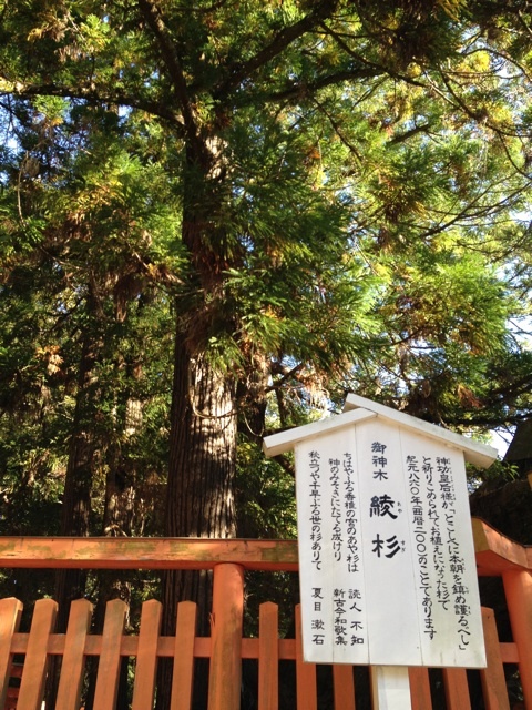 o0480064012221778350